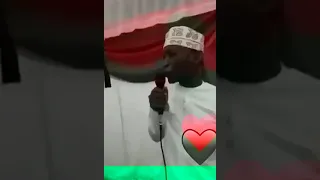 هدوب دندنها