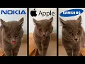 Download Lagu Alugalug Cat but famous phone ringtones