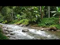 Download Lagu Bukit Berbunga - Silvy Kumalasari - OM. HIMAWAN - Dangdut Jadul - Dangdut Viral Tiktok 2025
