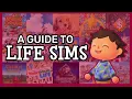 A Practical Guide to Life Simulation Games
