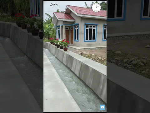 Transform my house and yard from shabby to beautiful 🥰