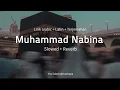 Download Lagu Muhammad Nabina - Slowed + Reverb|| Lyrics Arabic+Latin+Terjemahan|| محمد نبينا
