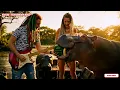 Música Reggae Brasileira 2025 🌿 Sons para Paz Interior, Liberdade e Conexão com a Natureza 🎸📢