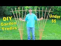 How to Make a 6FT Garden Trellis with 1 Board Simple DIY Fan Trellis