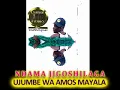 Ndama jigoshilaga