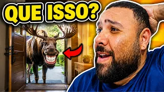 Os Piores Vídeos da Internet Ficam Mais Absurdos a Cada Segundo