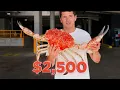 $1 vs $100,000 Exotic Food