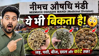 नीमच मंडी में बिकने वाली ये जंगली वनस्पतियां आपको कर देंगी हैरान  Aushadhi Mandi Neemuch