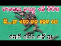 ବ୍ୟବହାର କରନ୍ତୁ ଏହି ଜିନିଷ | long ke fayde | long ke tel ke fayde | ayurvedik | long ke ayurvedic oil