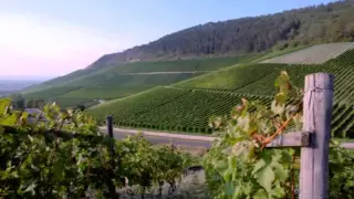 ليش انا حبك جنون شادي جميل دندنها