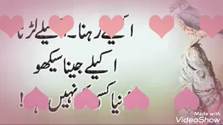 اساں لوک سر پھرے ہاں دل دا وپار کرنے 