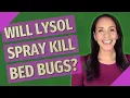 Will Lysol spray kill bed bugs
