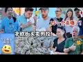 Download Lagu 中国煎饺在北欧街头火爆炸？刚一出摊就卖半锅了！Fried Dumplings are CRAZY popular in Denmark!