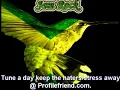 NAS & DAMIAN MARLEY FEAT DENNIS BROWN - LAND OF PROMISE