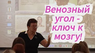 Кишечник — второй мозг! Как воспаление в ЖКТ разрушает позвоночник?