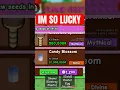 Download Lagu Buying the Divine Candy Blossom 10 million in Grow a Garden Roblox