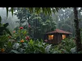 (No Ads) Listen To The Rain On The Forest | Asmr Rain Sound For Reduce Anxiety And Sleep Deeply