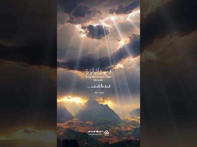 ⁣فاصل قرآني وَلَا تَقُولُواْ لِمَن يُقْتَلُ.. | القارئ محمد خولي