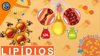 QUÍMICA DA VIDA - LIPÍDIOS