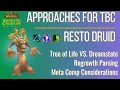 TBC Resto Druid Three Raiding Approaches Should You Go Dreamstate Professions and Outland Prep