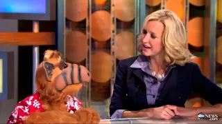 ALF Sits Down Tries to Behave for GMA Interview 11 07 11