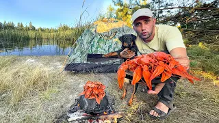 Охота на гигантских раков! 24 ЧАСА На чистейшем озере! Тушеные РАКИ в афганском казане!