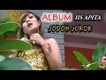 Download Lagu LAGU IIS APITA \