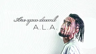 A L A Are You Dumb Clean Version 