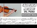 Download Lagu Gala Bunga Matahari - Sal Priadi || Violin Sheet Music