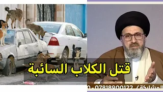 متصل هناك كلاب سائبة مؤذية هل يجوز قتلها وتخلص منها   سيد رشيد الحسيني دندنها