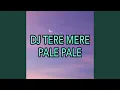 Download Lagu DJ Tere Mere - Pale Pale