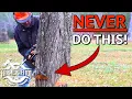 Download Lagu How To Chainsaw Like a Boss. This Could Save Your Life.