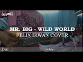 Download Lagu Mr. Big - Wild World / Felix Irwan Cover (Guitar Chords)
