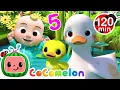 Download Lagu Count 5 Little Ducks with Baby JJ! 🐤 | CoComelon Nursery Rhymes and Kids Songs | Animals for Kids
