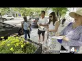 How plants in DC s Golden Triangle are helping pollinators NBC4 Washington