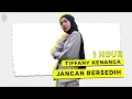 Download Lagu Tiffany Kenanga - Jangan Bersedih ( 1 HOUR )