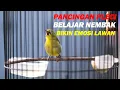 Download Lagu PANCINGAN PLECI PAUD BELAJAR NEMBAK, BIKIN LAWAN EMOSI DAN BONGKAR MATERI