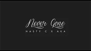 never gone nasty c ft aka tribute 