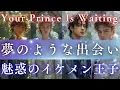 The Handsome Princes Come to Life Breathtaking Beauty… Princes Inspired by Seasons and Birthstones