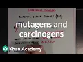 Mutagens and carcinogens Biomolecules MCAT Khan Academy
