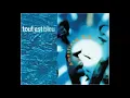 Ame Strong - Tout Est Bleu (DJ Gonzalvez Bernard Extended)