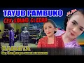 Download Lagu FULL TAYUB GENDING PAMBUKO GEDOG RADHITA TERBARU || DOKUMENTASI Bp. POMO NGLUMPANG NGLEBENG #3