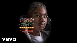 drip gogo ayavuma official audio ft dj sumbody the lowkeys