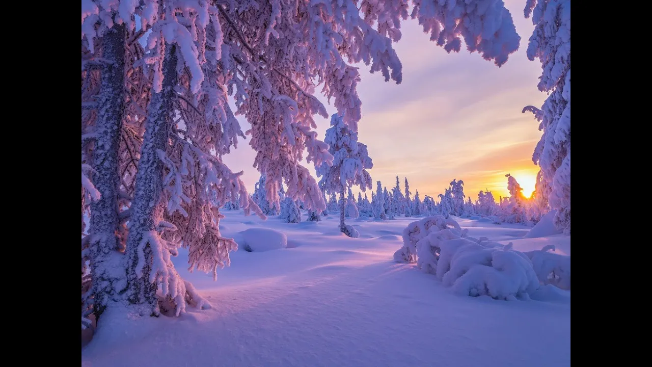 MagiCXbeats - In Wonderland 2