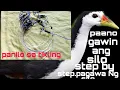 Download Lagu paggawa Ng silo sa tikling ..step by step