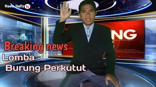 Download Lomba burung perkutut tingkat Nasional Ditaman TGB peraya Lombok Tengah MP3