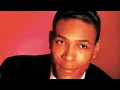 Marvin Gaye - Got To Give It Up (Part I & II Video)