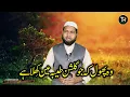 Lagu woh phool ki jo gulshan e taiba mein khila hai || naat  || tabish rehan