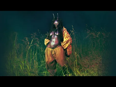 SZA - Chill Baby (Official Audio)