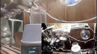                     دندنها